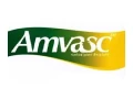 Amvasc