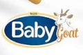 Baby Goat