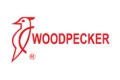 Woodpecker